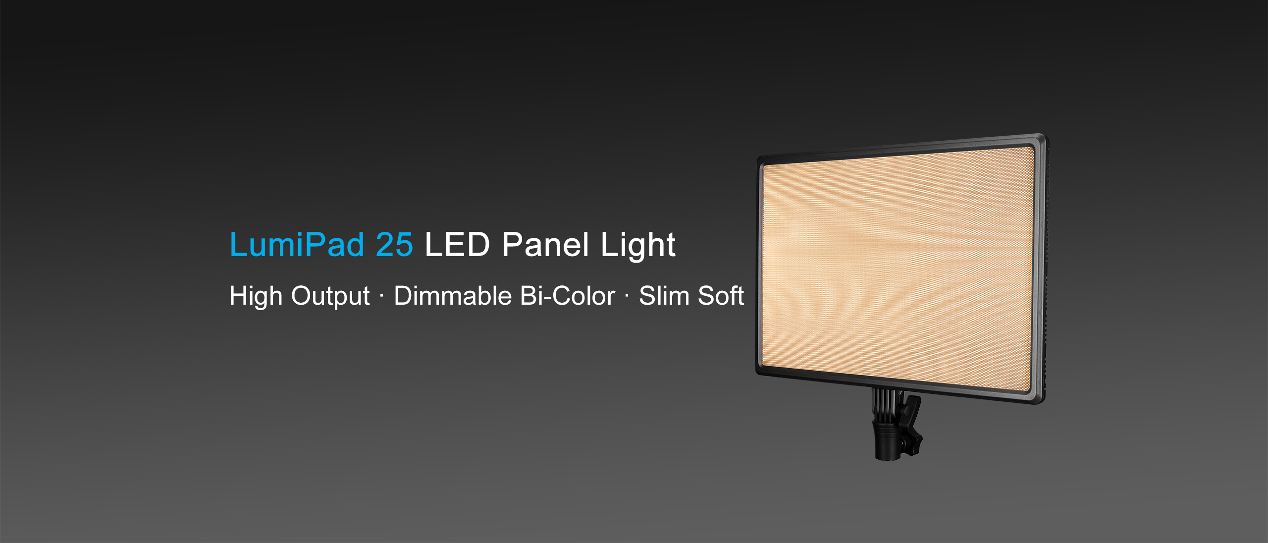 LumiPad 25 撮影用照明 51D68as2eKS._UF1000,1000_QL80_.jpg